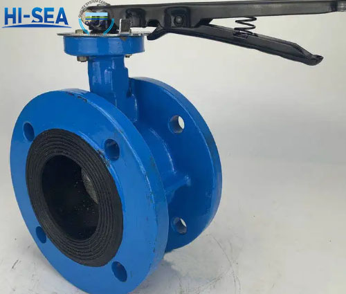 Marine Double Flanged Butterfly Valve2.jpg
